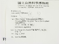 登錄號:F0008904藏品圖，第2張