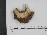 登錄號:F0008906藏品圖，第1張