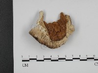 登錄號:F0008906藏品圖，第3張