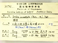 登錄號:F0008907藏品圖，第2張