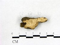 登錄號:F0008907藏品圖，第1張