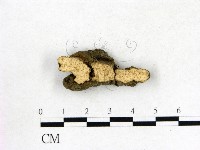 登錄號:F0008907藏品圖，第3張