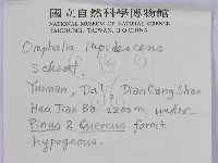 登錄號:F0008908藏品圖，第2張