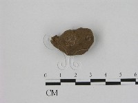 登錄號:F0008908藏品圖，第3張