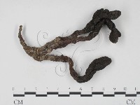 登錄號:F0008909藏品圖，第1張