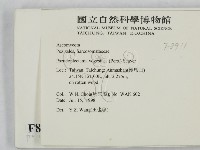 登錄號:F0008911藏品圖，第2張