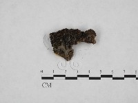 登錄號:F0008911藏品圖，第1張