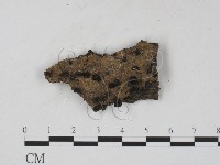 登錄號:F0008912藏品圖，第1張