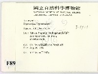 登錄號:F0008913藏品圖，第2張