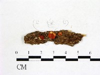 登錄號:F0008913藏品圖，第1張