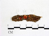 登錄號:F0008913藏品圖，第3張