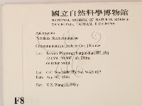 登錄號:F0008915藏品圖，第2張