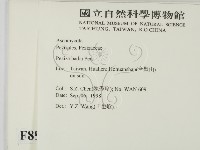 登錄號:F0008916藏品圖，第2張