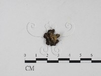 登錄號:F0008916藏品圖，第3張