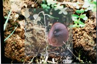 登錄號:F0008916藏品圖，第4張