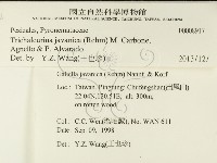 登錄號:F0008917藏品圖，第2張