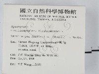 登錄號:F0008920藏品圖，第2張