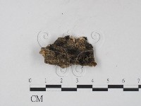登錄號:F0008922藏品圖，第1張