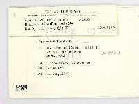登錄號:F0008923藏品圖，第2張