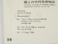 登錄號:F0008925藏品圖，第2張