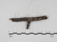 登錄號:F0008927藏品圖，第1張