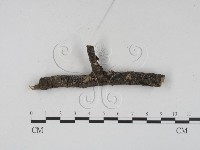 登錄號:F0008927藏品圖，第3張