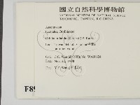 登錄號:F0008929藏品圖，第2張