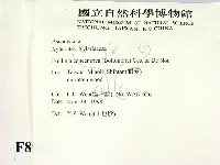 登錄號:F0008931藏品圖，第2張