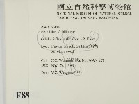 登錄號:F0008932藏品圖，第2張
