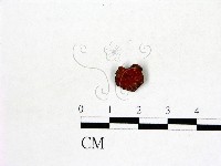 登錄號:F0008933藏品圖，第1張