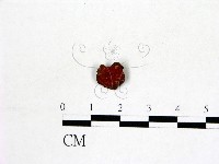 登錄號:F0008933藏品圖，第3張