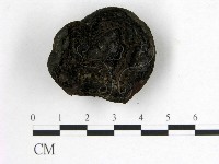 登錄號:F0008934藏品圖，第3張