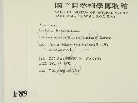 登錄號:F0008935藏品圖，第2張