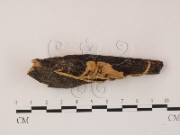 登錄號:F0008936藏品圖，第3張