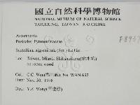 登錄號:F0008937藏品圖，第2張