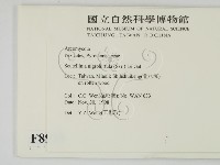 登錄號:F0008938藏品圖，第2張