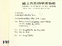 登錄號:F0008939藏品圖，第2張