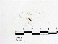 登錄號:F0008939藏品圖，第1張