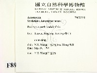 登錄號:F0008941藏品圖，第2張