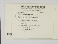 登錄號:F0008942藏品圖，第2張