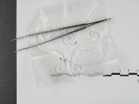 登錄號:F0008942藏品圖，第1張