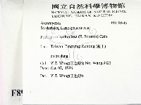 登錄號:F0008943藏品圖，第2張