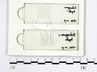 登錄號:F0008943藏品圖，第1張