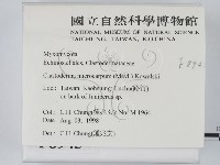 登錄號:F0008945藏品圖，第2張