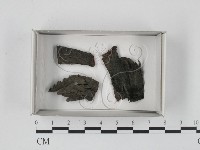 登錄號:F0008945藏品圖，第1張