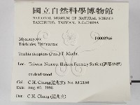 登錄號:F0008946藏品圖，第2張