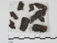 登錄號:F0008947藏品圖，第1張