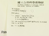 登錄號:F0008948藏品圖，第2張