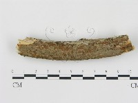 登錄號:F0008948藏品圖，第1張