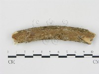 登錄號:F0008948藏品圖，第3張